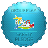 Dog Gurus Safety Pledge Badge