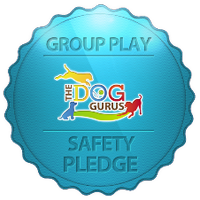 Dog Gurus Safety Pledge Badge