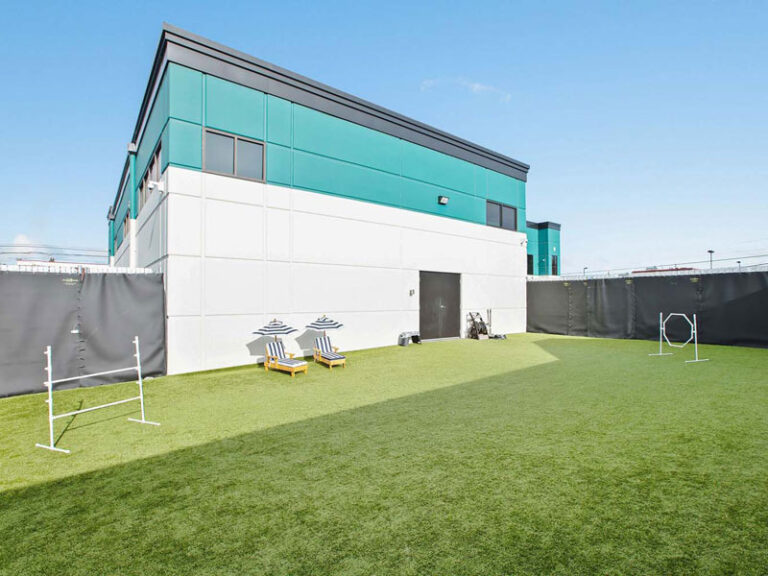 About Us Biscuits Doggie Daycare WA